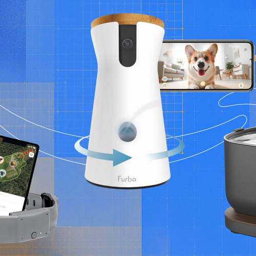 Go and Fetch Some of the Best Prime Day Deals for Your Pets