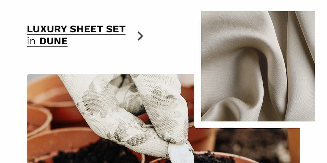 Luxury Sheet Set in Dune | SHOP NOW
