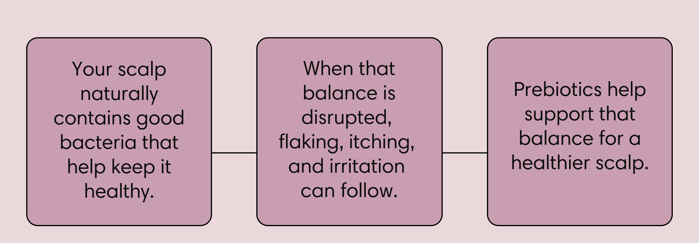 Three connected boxes explaining how prebiotics work: your scalp naturally contains good bacteria that help keep it healthy; when that balance is disrupted, flaking, itching, and irritation can follow; prebiotics help support that balance for a healthier scalp.
