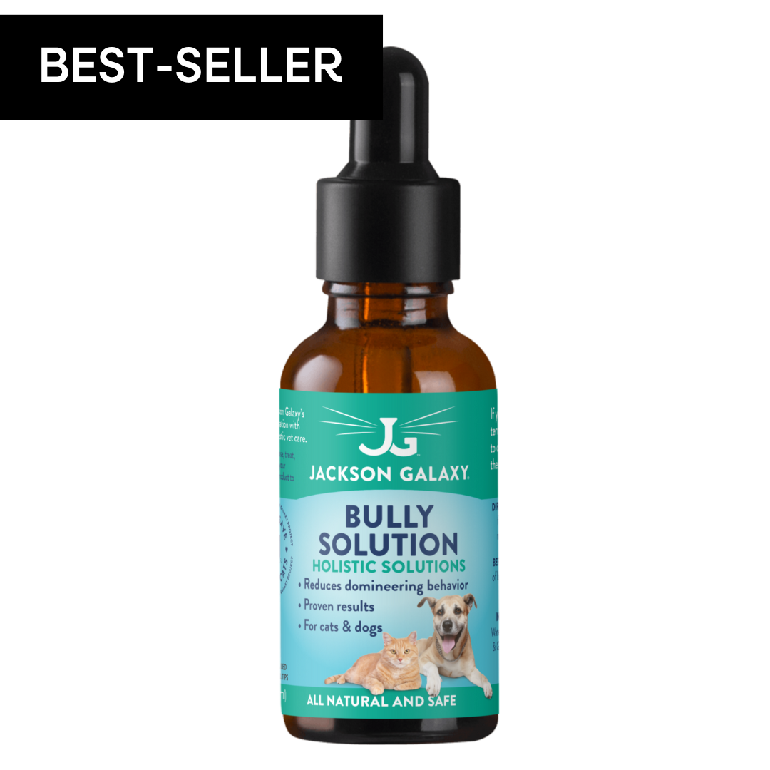 Image of Bully Solution