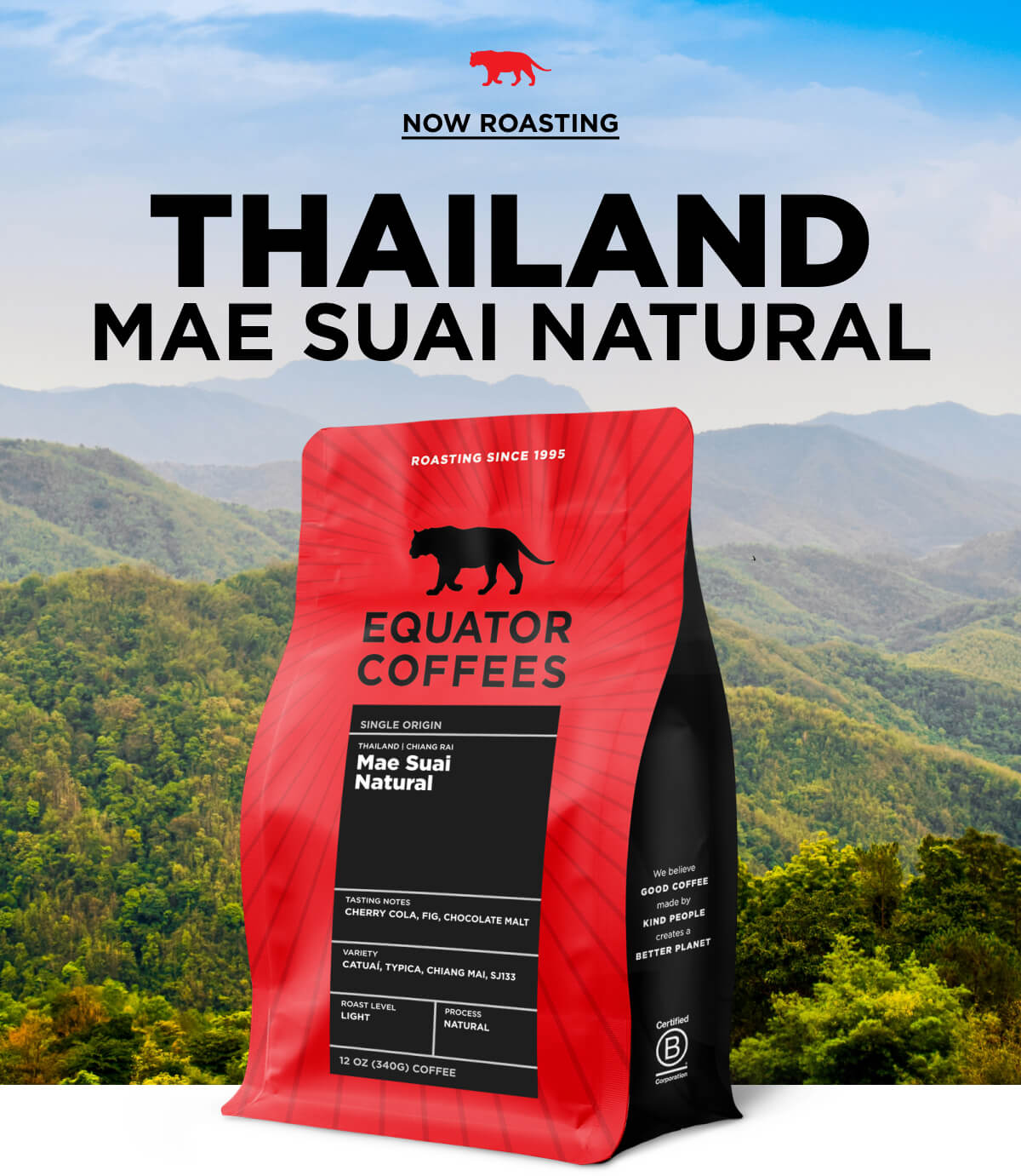 Now Roasting: Thailand Mae Suai Natural