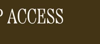 VIP ACCESS