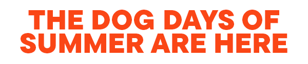 The Dog Days of Summer Are Here