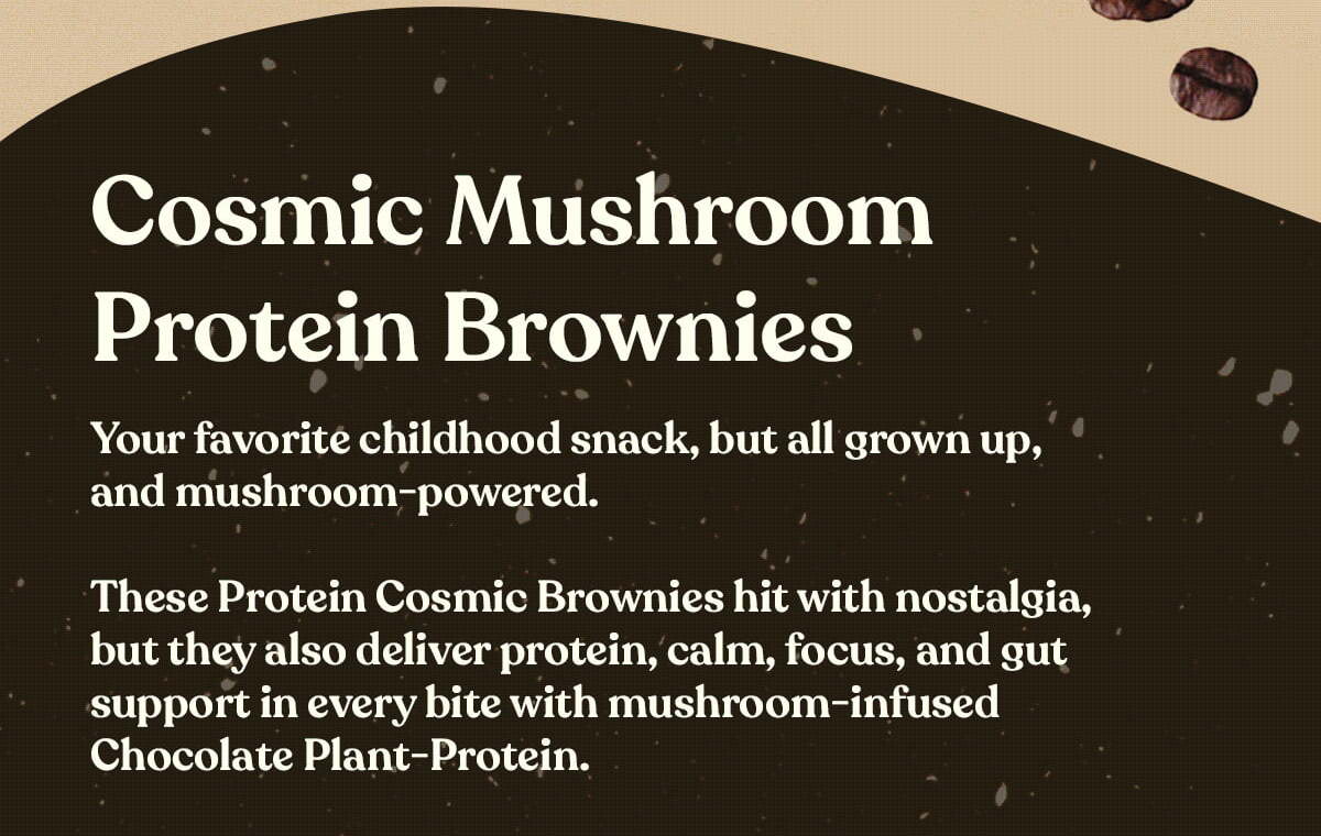 Cosmic Mushroom Protein Brownies