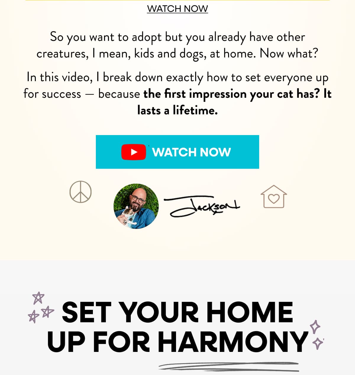 How to have harmony with cats + kids