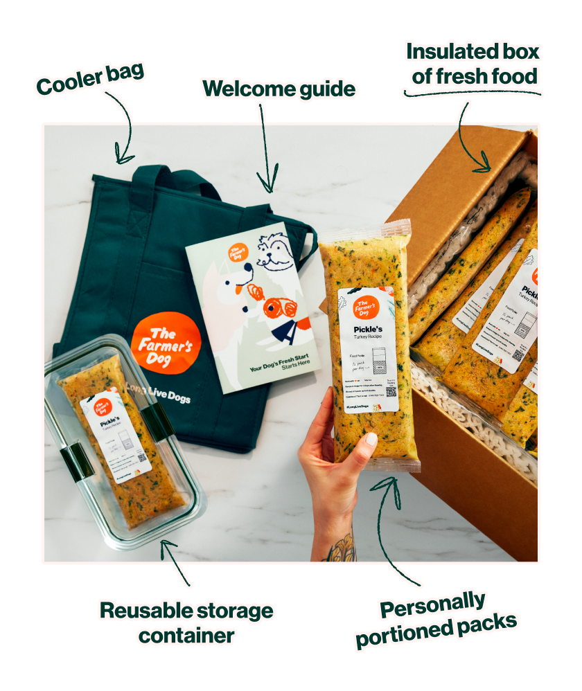Cooler bag. Welcome guide. Insulated box of fresh food. Reusable storage container. Personally portioned packs. Delivered to your door
