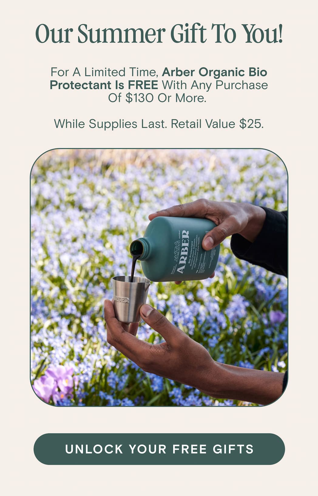 Our Summer Gift To You!