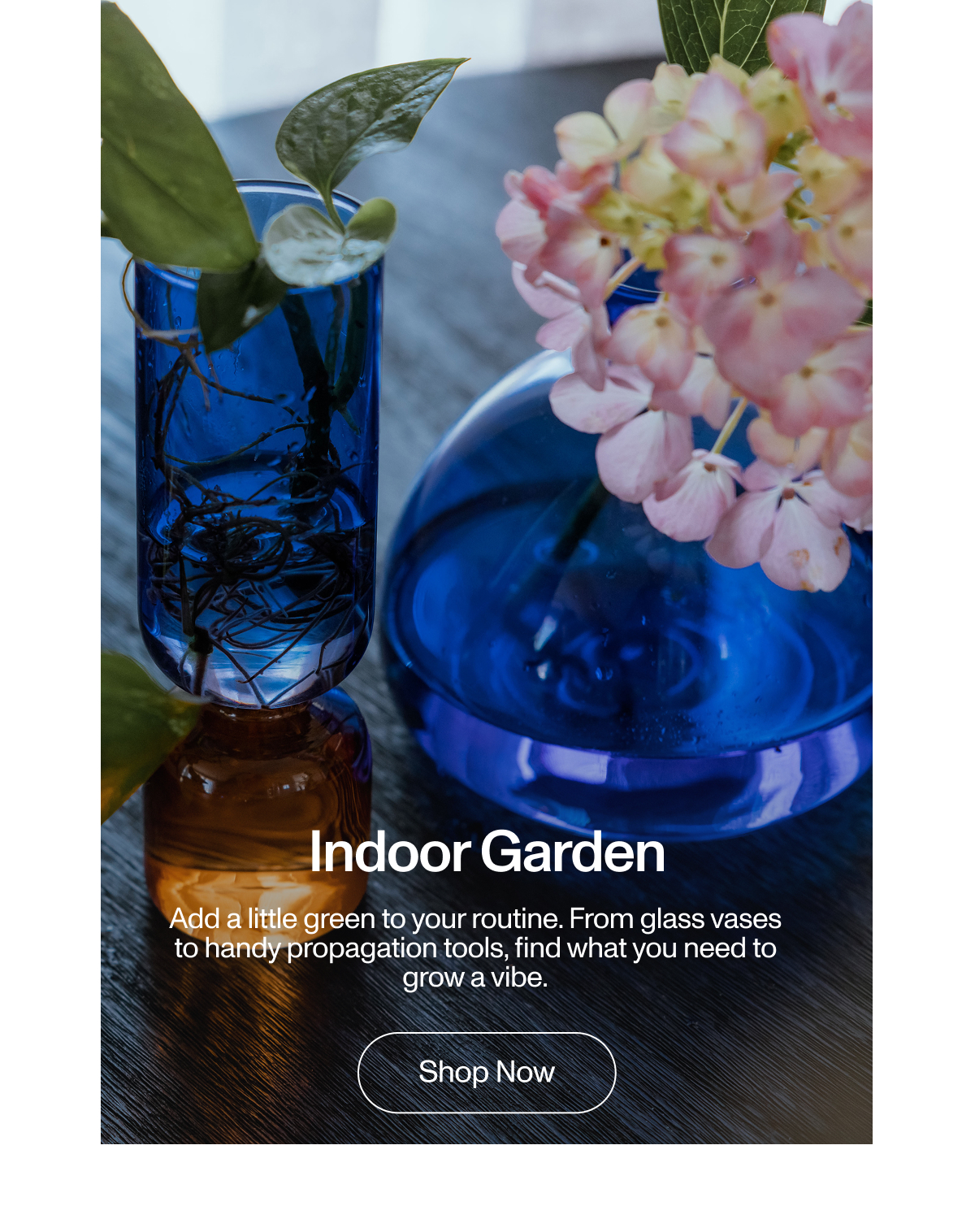 Indoor Garden. Add a little green to your routine. From glass vases to handy propagation tools, find what you need to grow a vibe