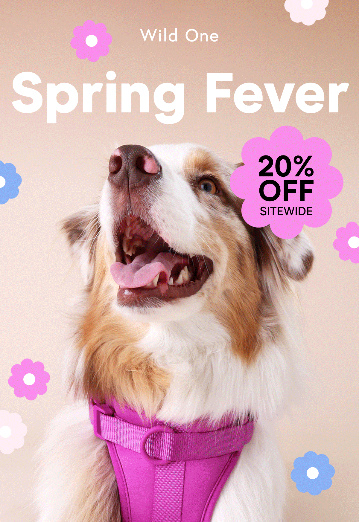 Spring Fever - 20% Off Sitewide