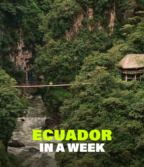 Ecuador in a week 