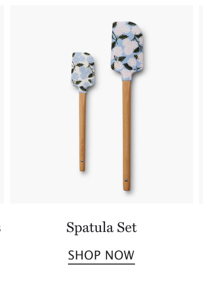 Spatula Set