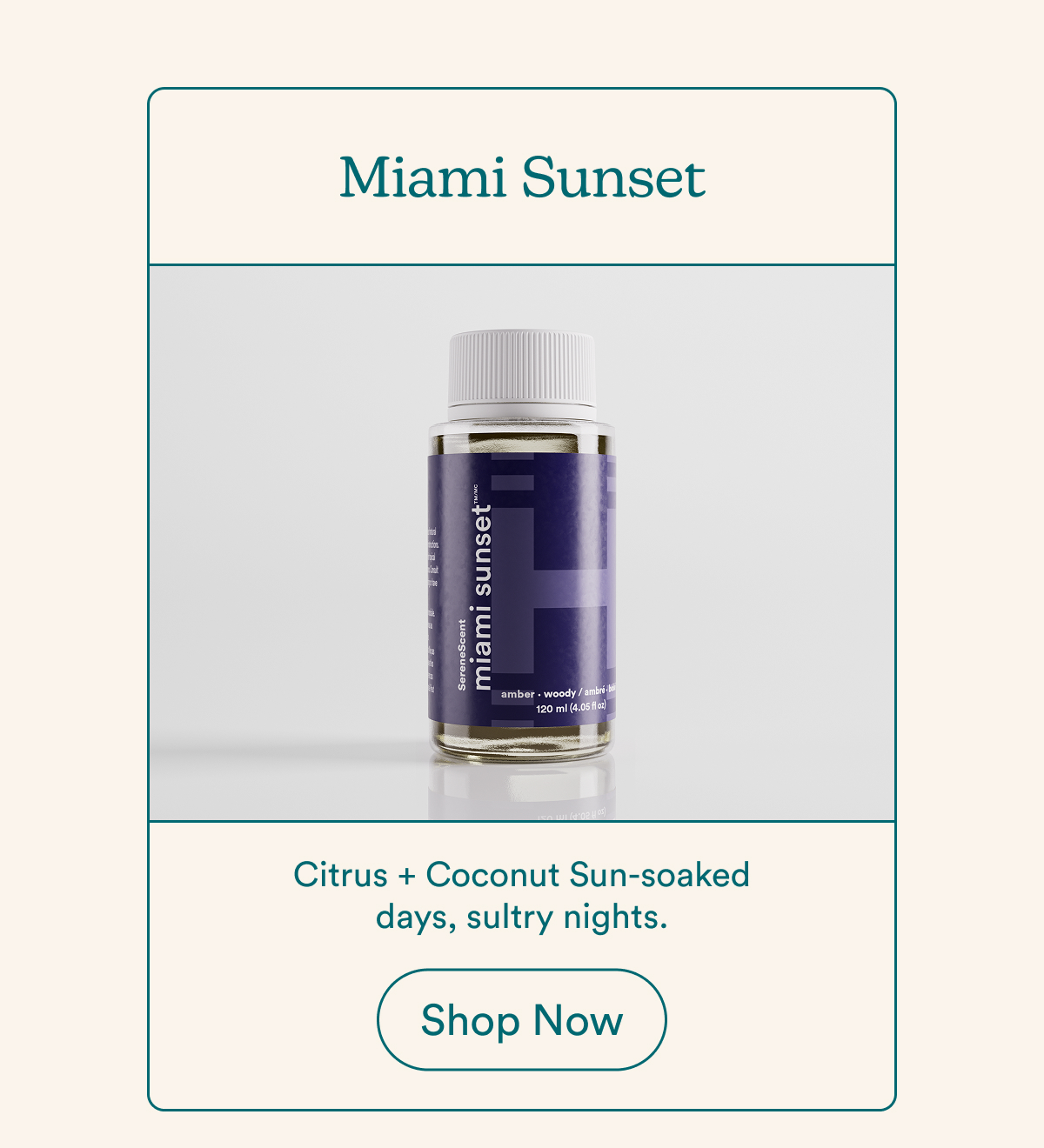 Miami Sunset