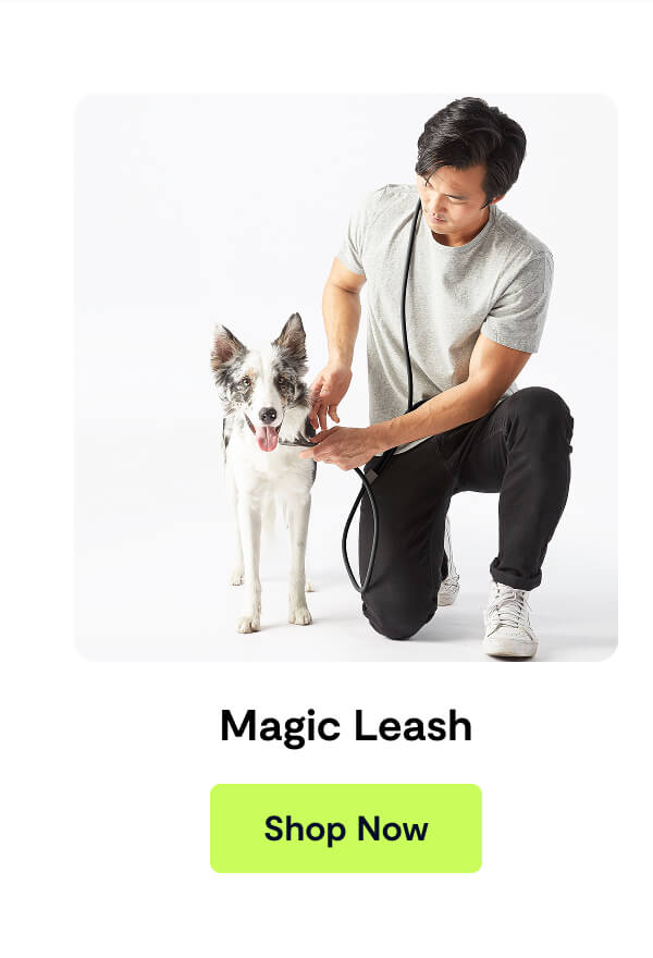 Magic Leash