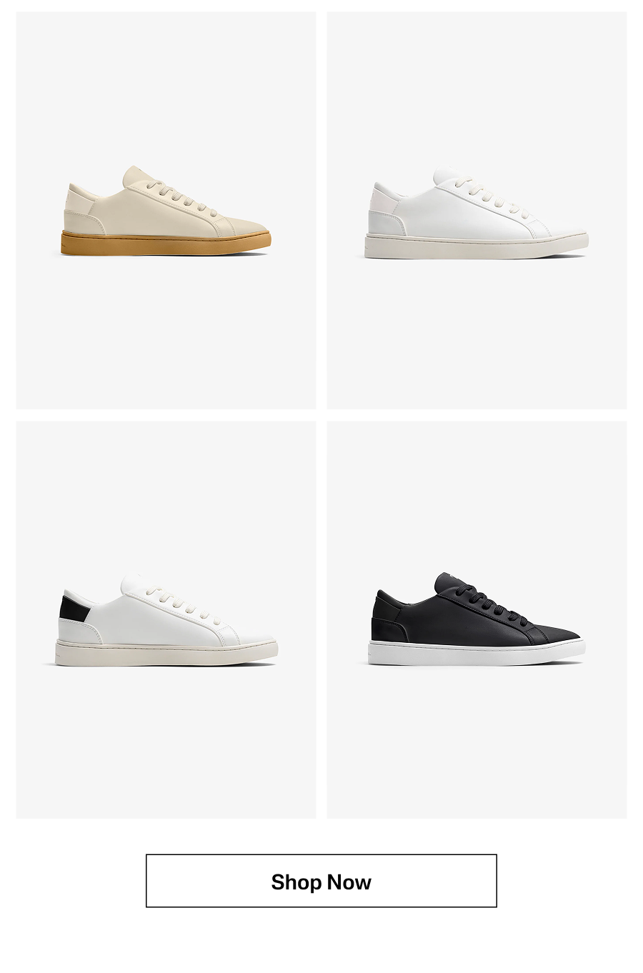 SHOP NOW