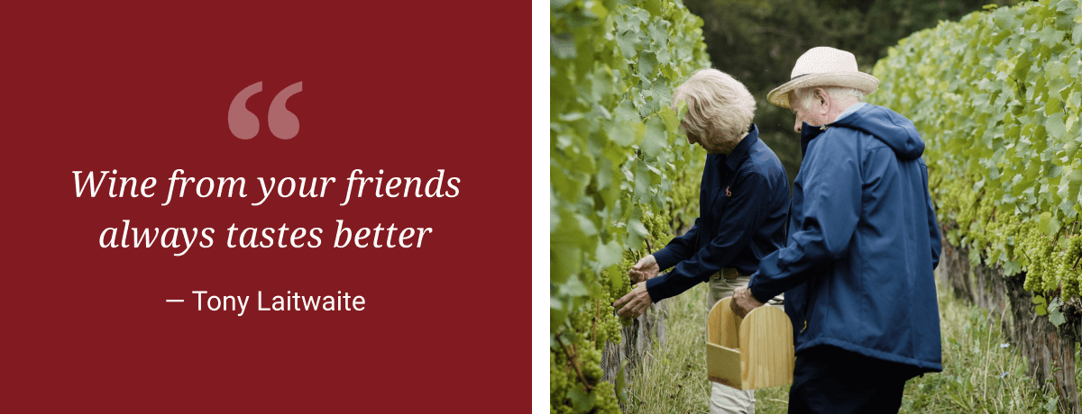 Wine from friends tastes better & Tony and Barbara picking grapes