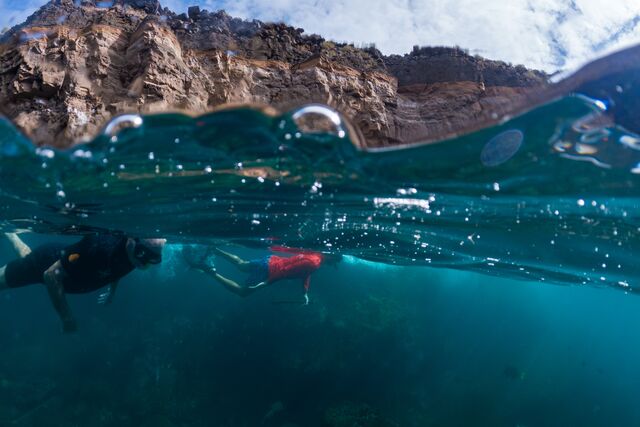 Snorkel in the Galapagos Islands