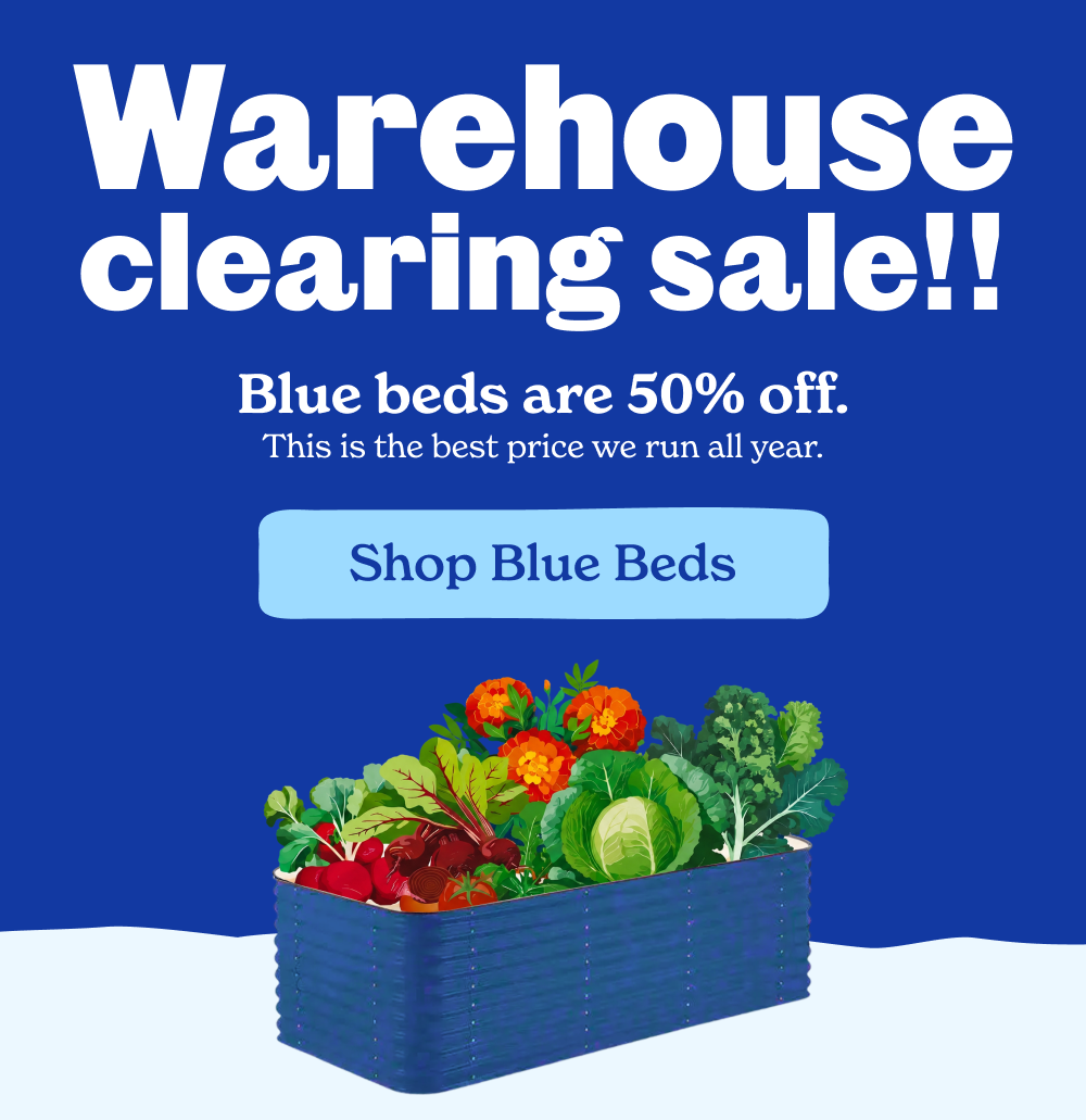 Blue beds are 50% off. This is the best price we run all year.
