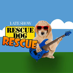 Rescue Dog Rescue