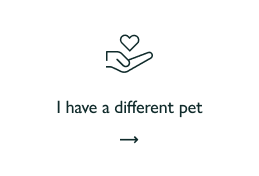 Other pet