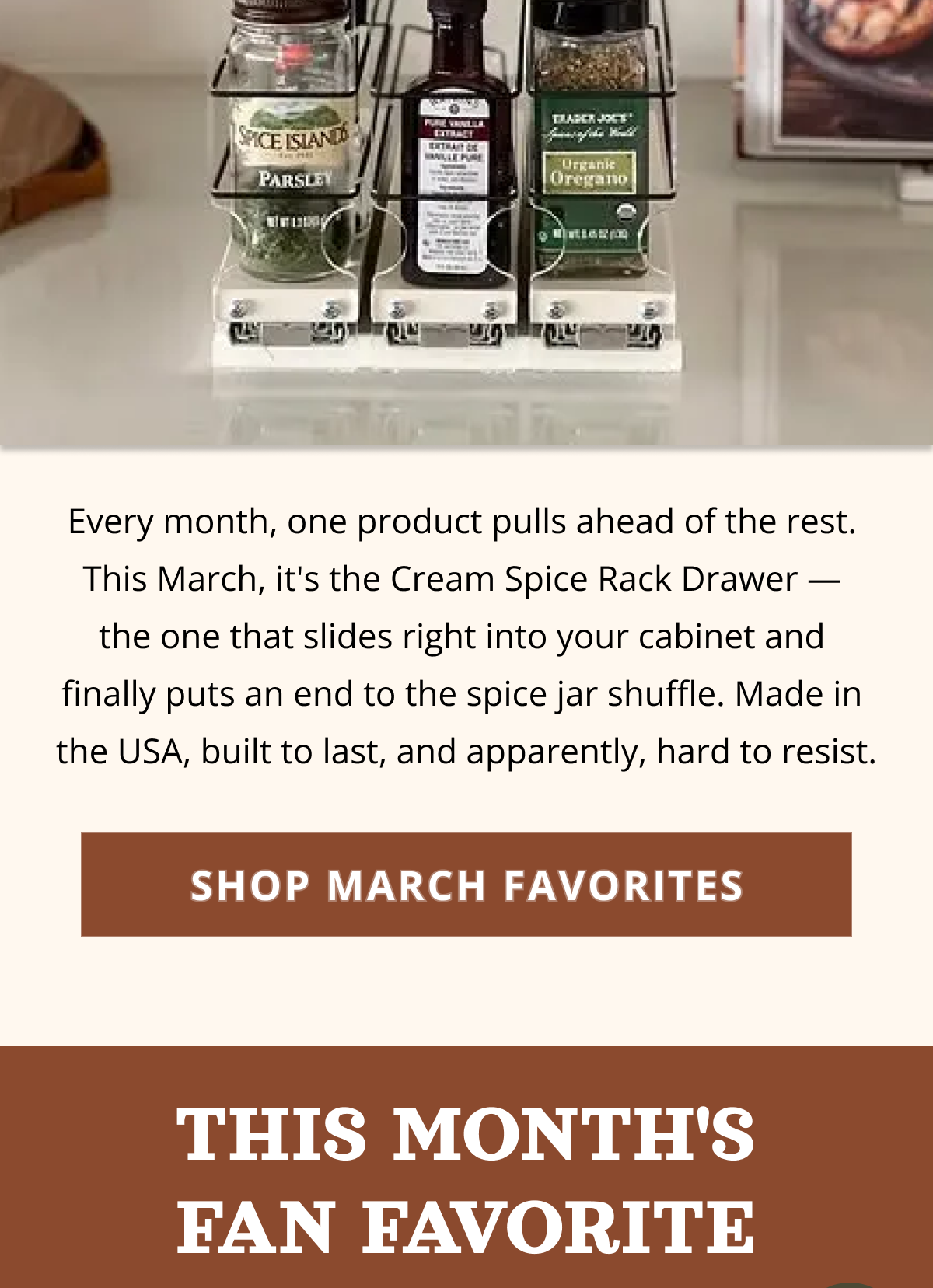 Spice rack drawer filled with organized spice jars, showing clear visibility and smooth sliding access in a kitchen cabinet