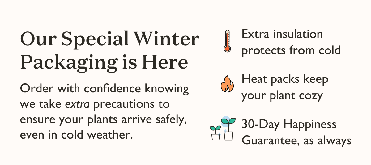 Our special Winter Packaging is here! And it's on us (free) for a limited time. 