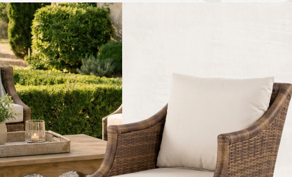 Shop Clara Lounge Chair