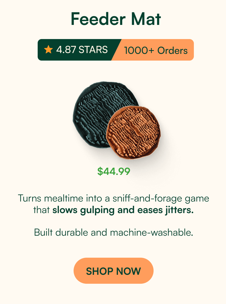 Stimulating Feeder Mat