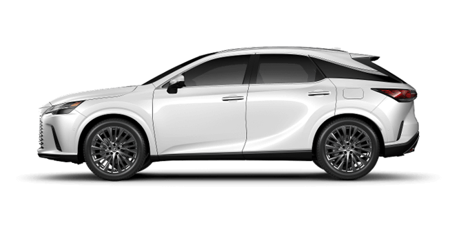 RX Hybrid