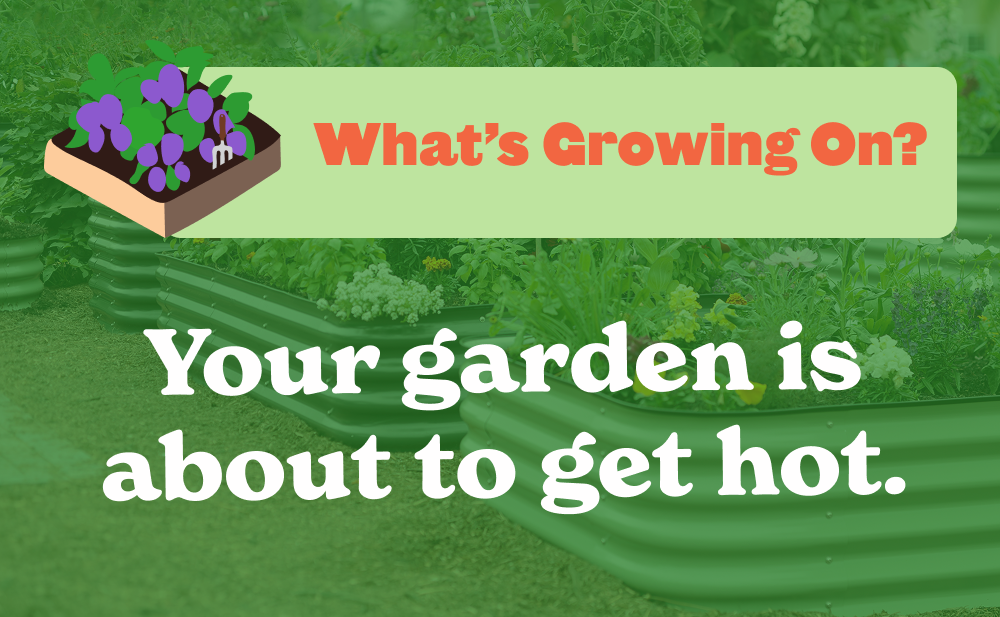 Your garden is about to get hot. 