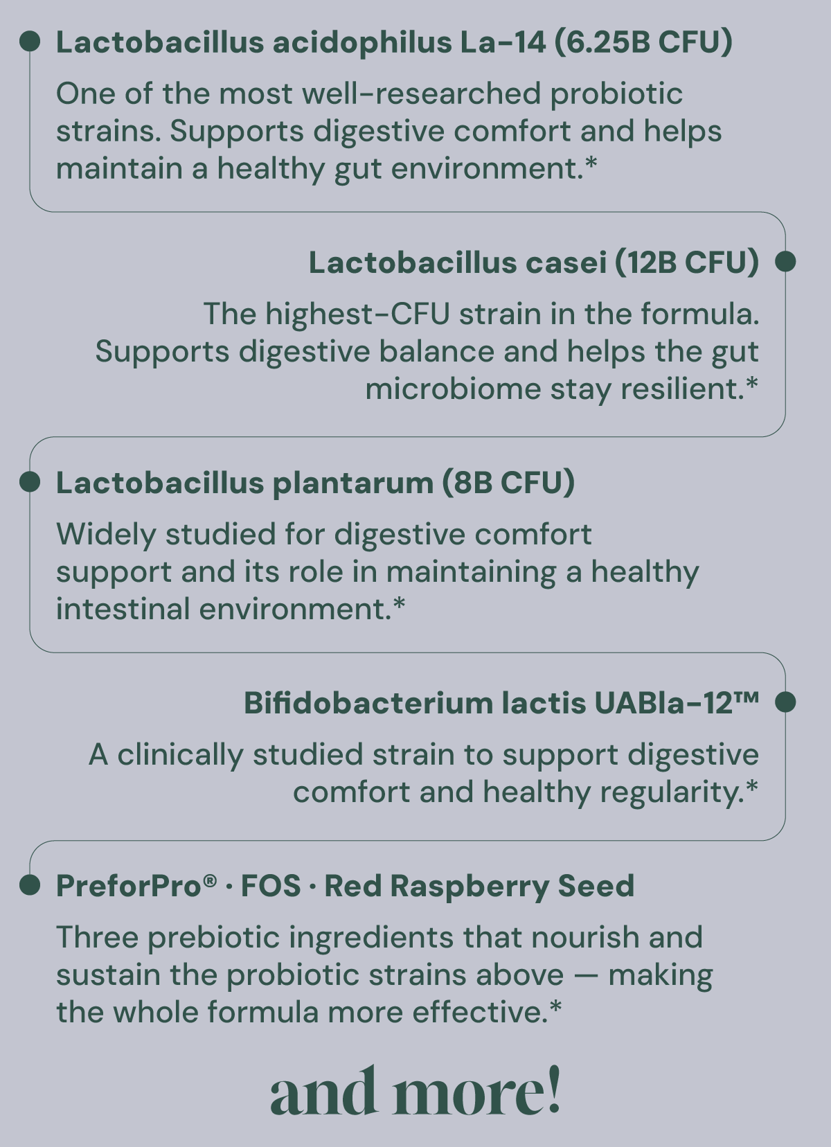 Lactobacillus....