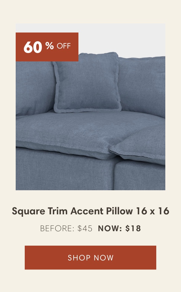 Square Trim Accent Pillow 16 x 16