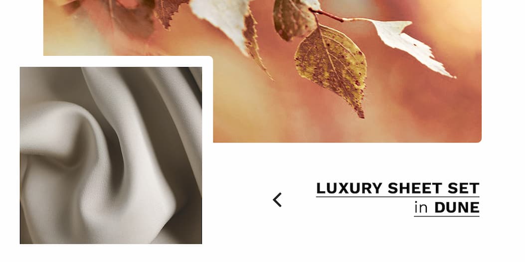 Shop Dune Luxury Sheet Set