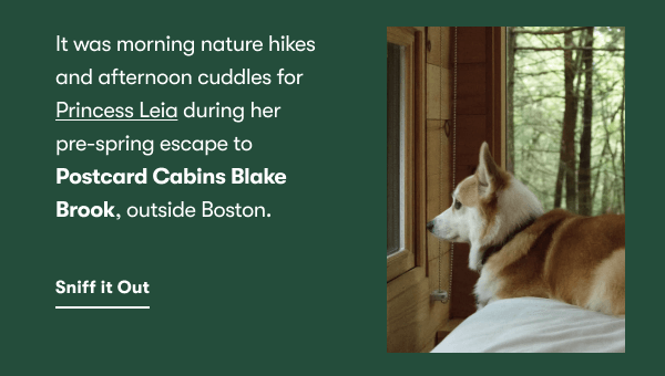 It was morning nature hikes and afternoon cuddles for Princess Leia