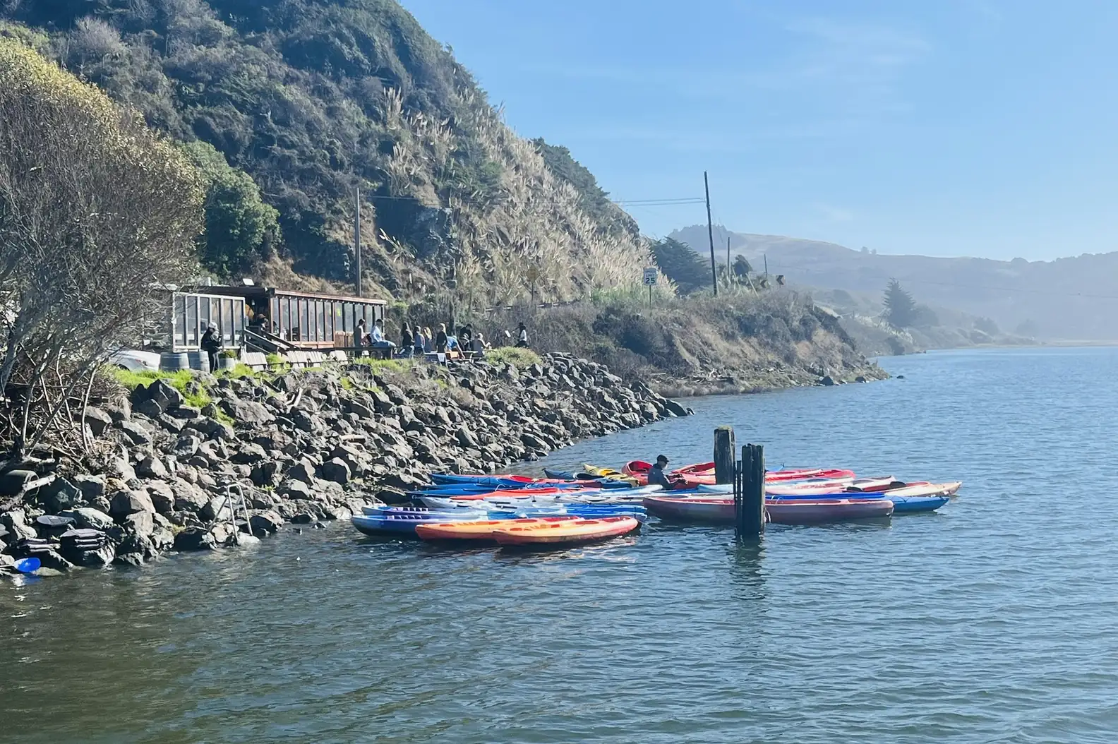 a group of kayaks tied up on shore