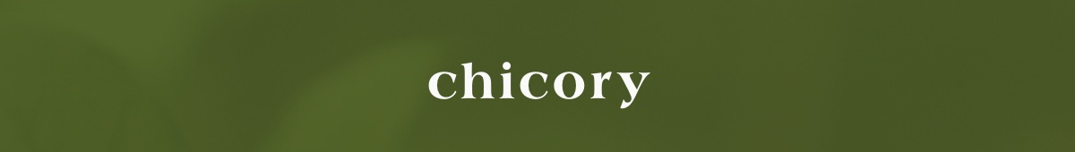 Chicory