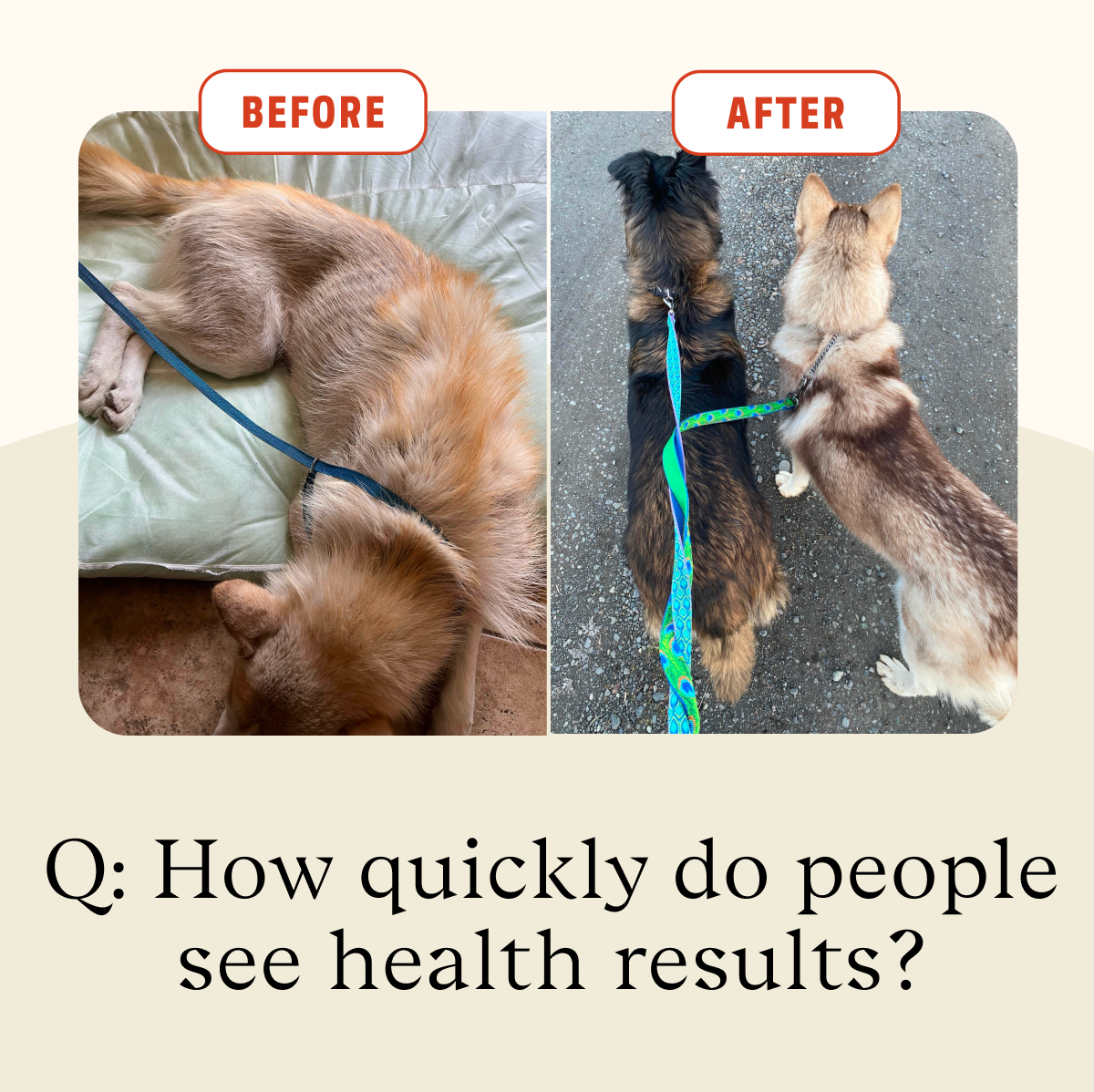 Q: How quickly do people see health results?