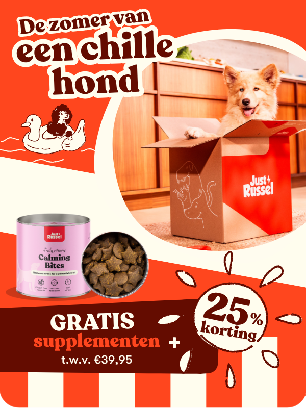 De zomer van een chille hond. Een hond is aan het spelen en kruipt in een Just Russel doos. Tekst: Gratis Calming Bites supplementen t.w.v. €39,95 + 25% korting.