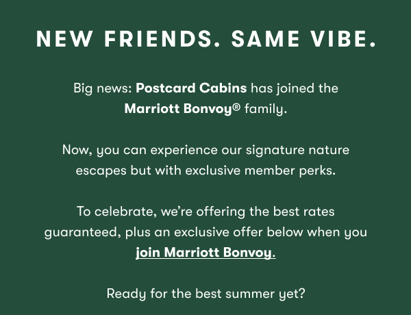 New Friends. Same Vibe.