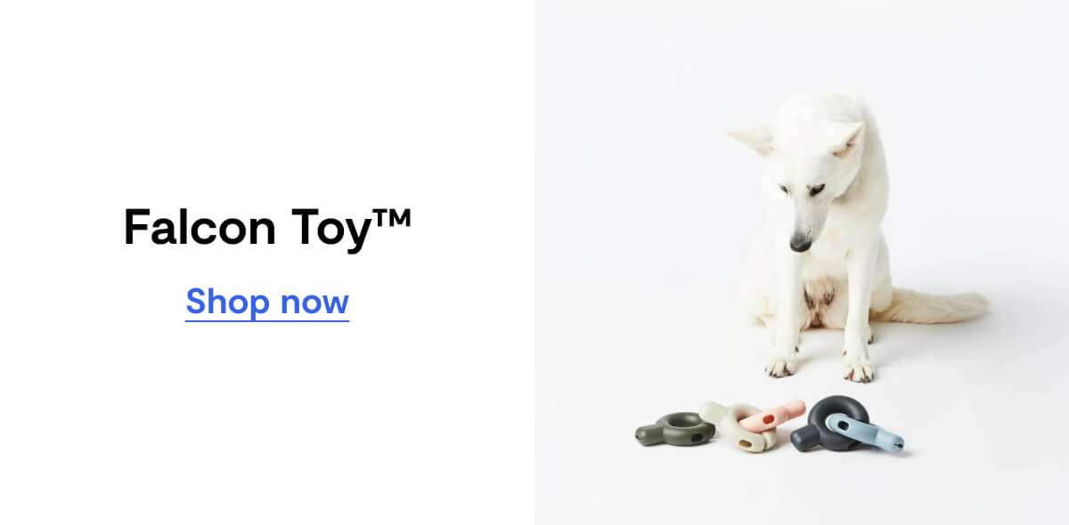Falcon Toy™