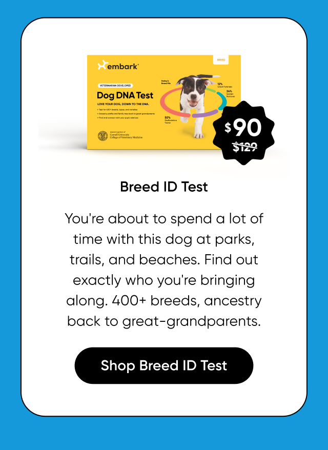 You're about to spend a lot of time with this dog at parks, trails and beaches. Find out exactly who you're bring along. 400+ breeds, ancestry back to great grandparents. Shop Breed ID Test.