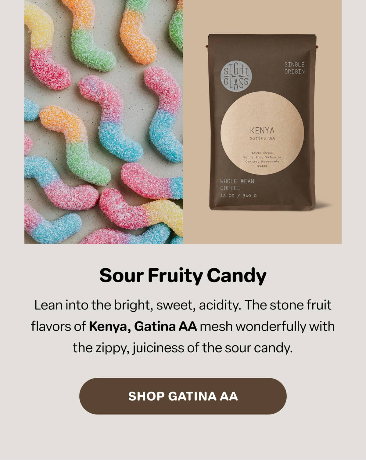 Shop Kenya, Gatina AA