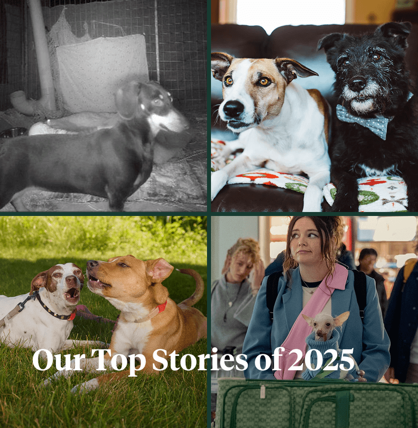best-of-digest-2025