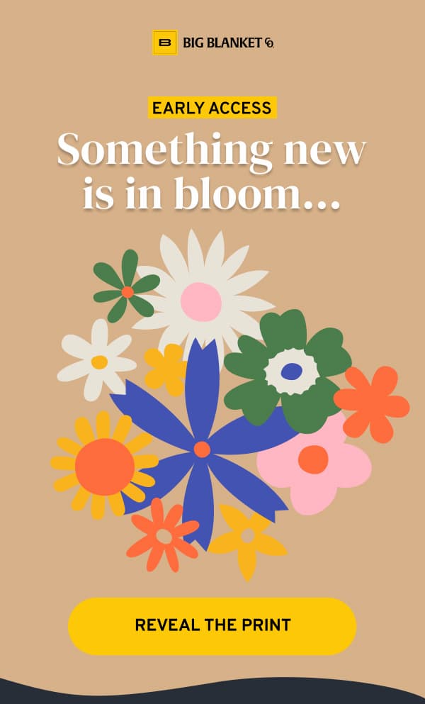 click to reveal the new limited edition print