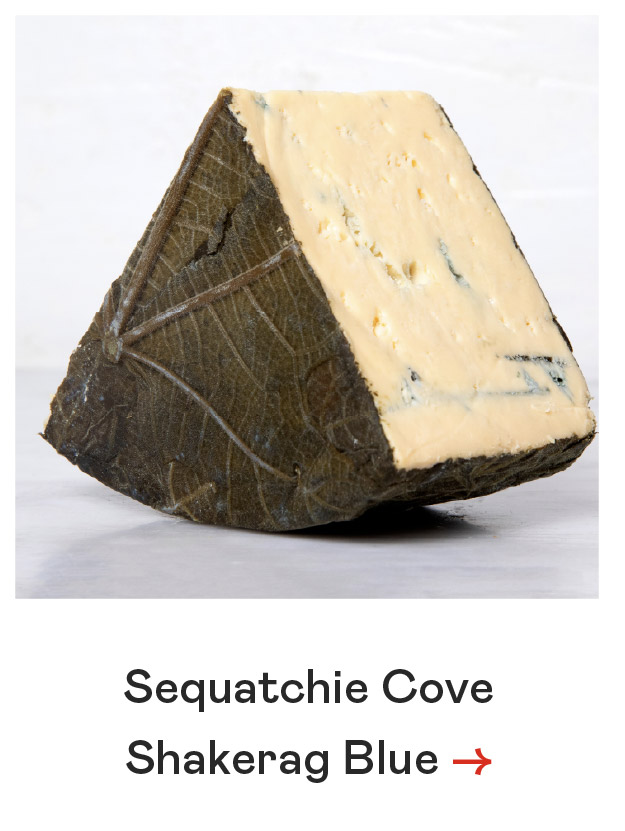Shakerag Blue