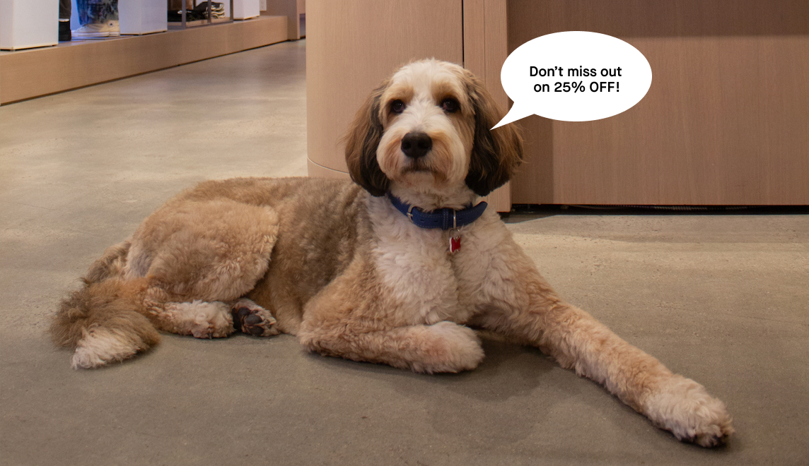 Shop the Sale