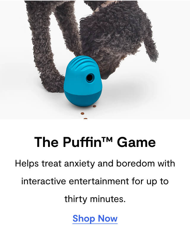 The Puffin™ Game