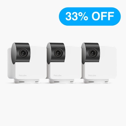 Cam 360 3 Pack