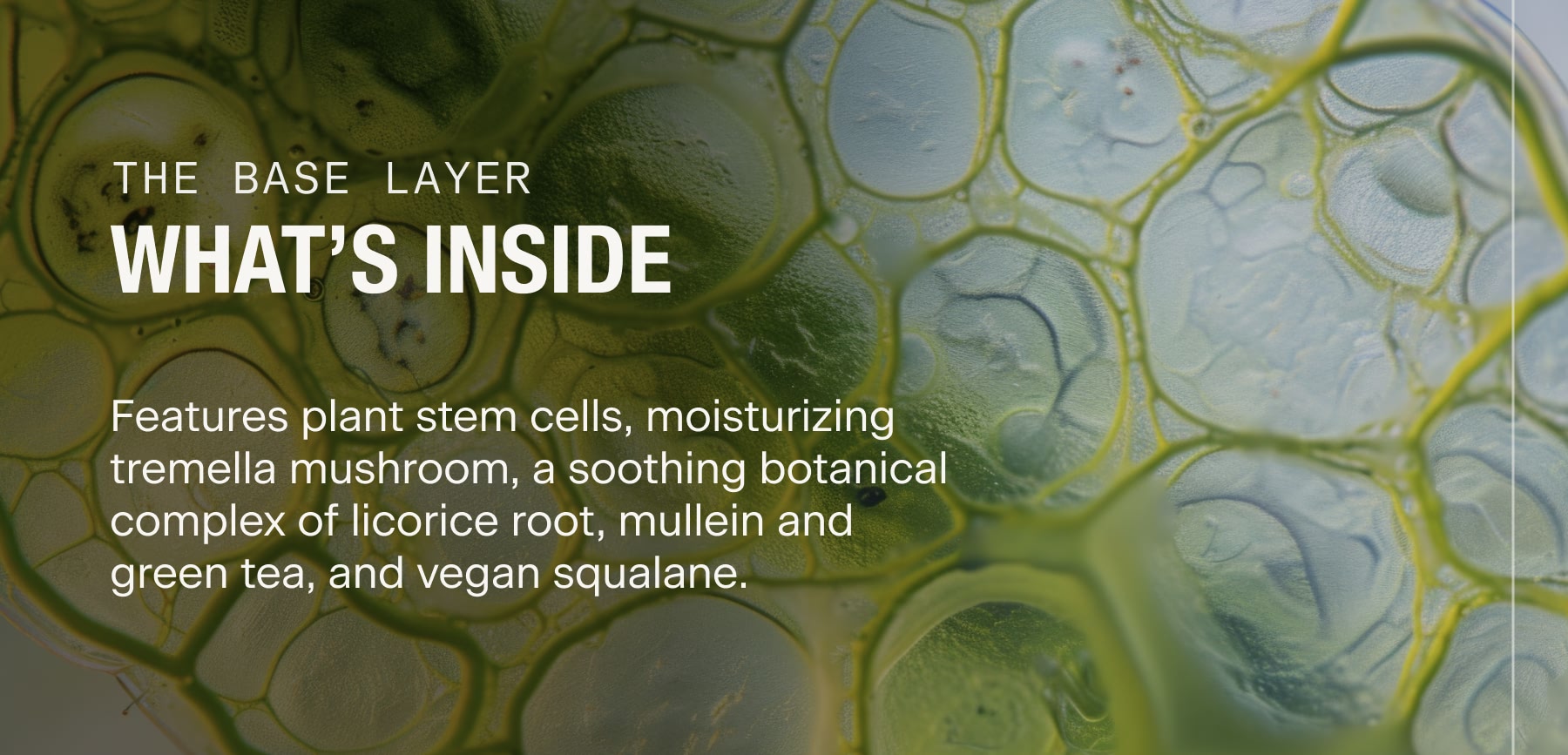 What's Inside The Base Layer