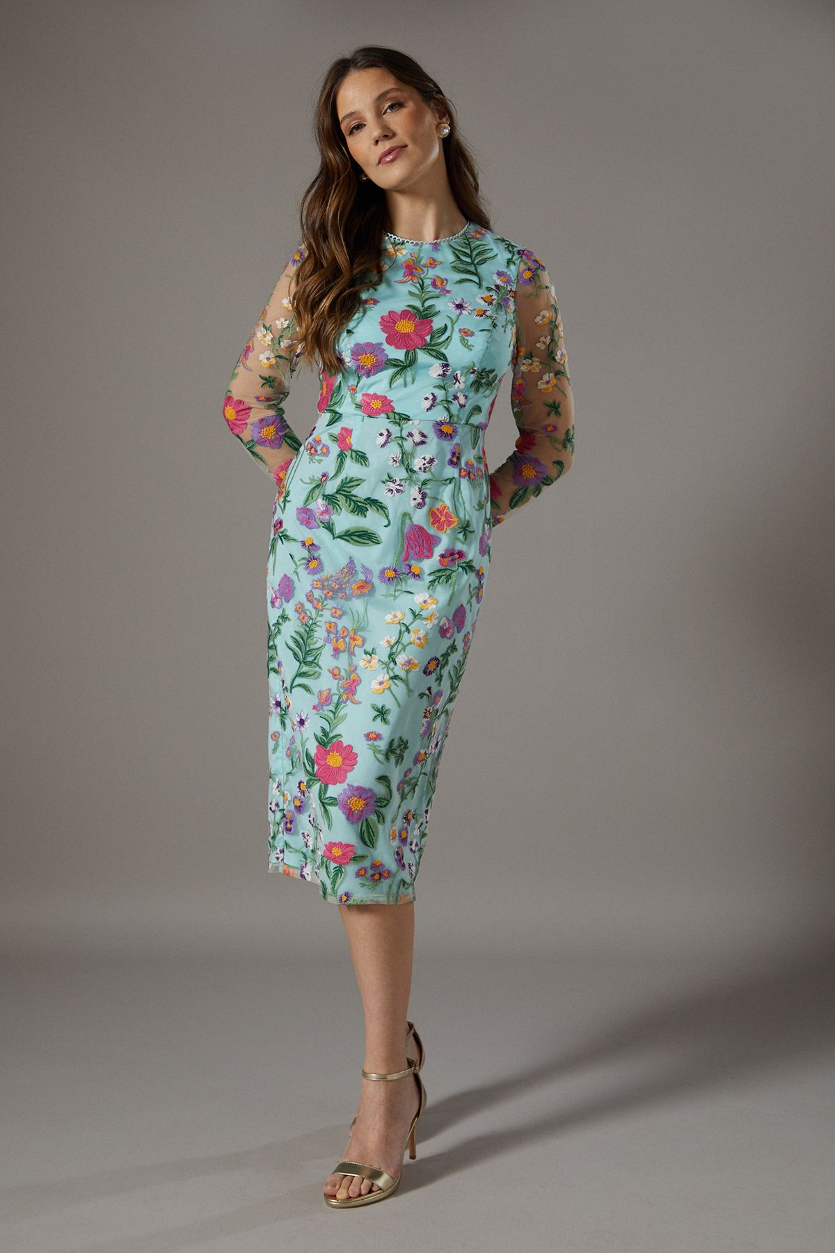 Embroidered Floral Mesh Pencil Dress