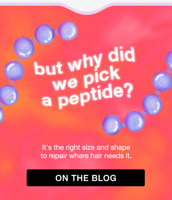 On The Blog